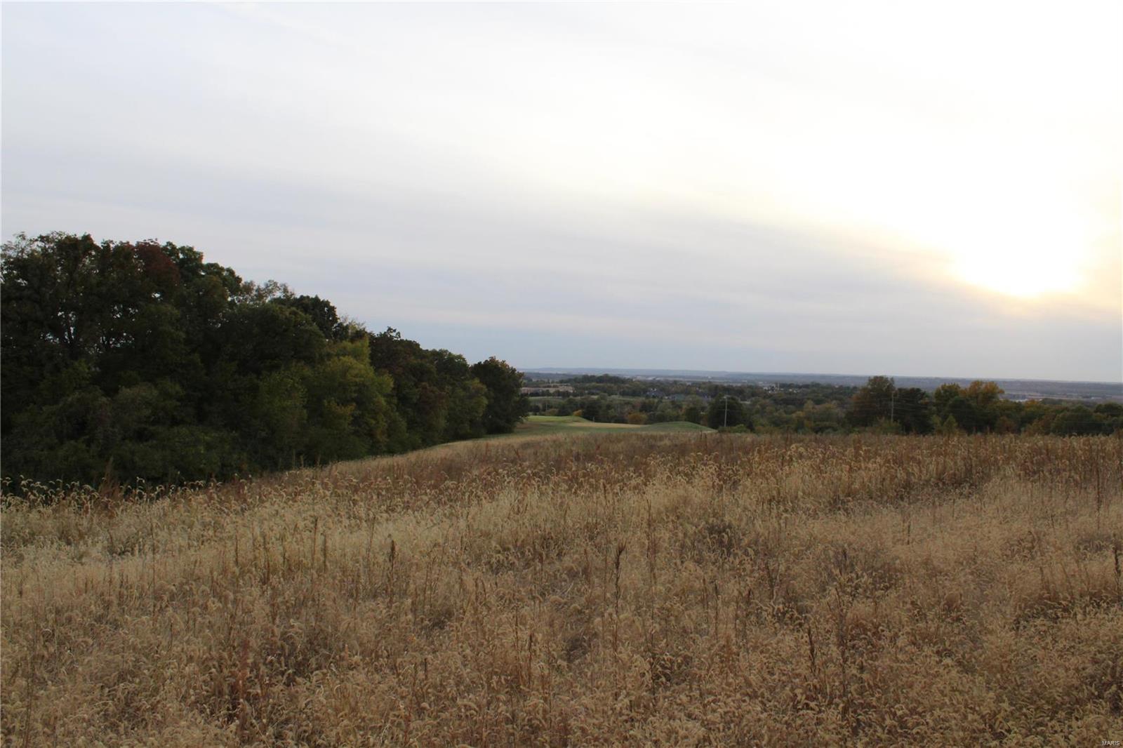 0 Mule Road Columbia, IL 62236 - Photo 9 of 15 Gallery Image 9
