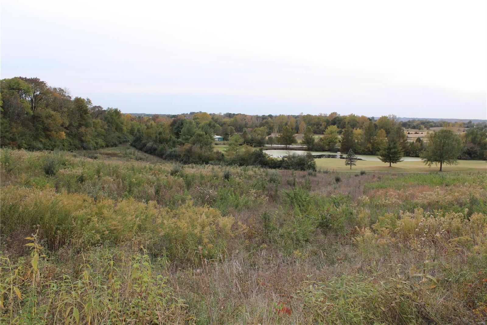 0 Mule Road Columbia, IL 62236 - Photo 10 of 15 Gallery Image 10