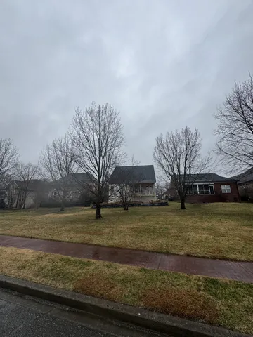 a view of a field with an trees
