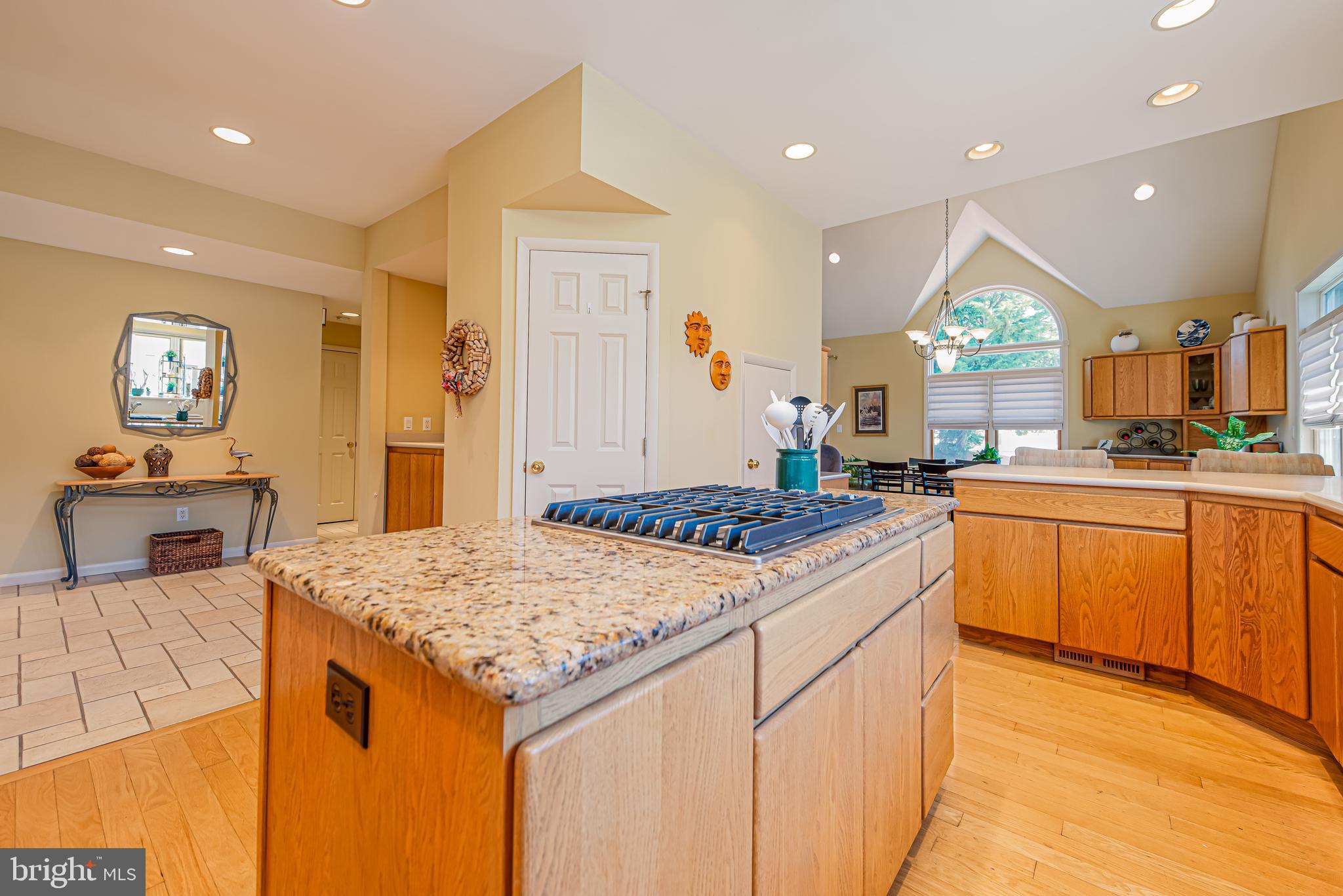 704 Twin Tree Road Ocean City, MD 21842 - Photo 7 of 40 Gallery Image 7