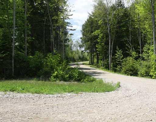 2 A Patten Pond Road Surry, ME 04684 - Photo 18 of 25 Land. Interior graveled road system