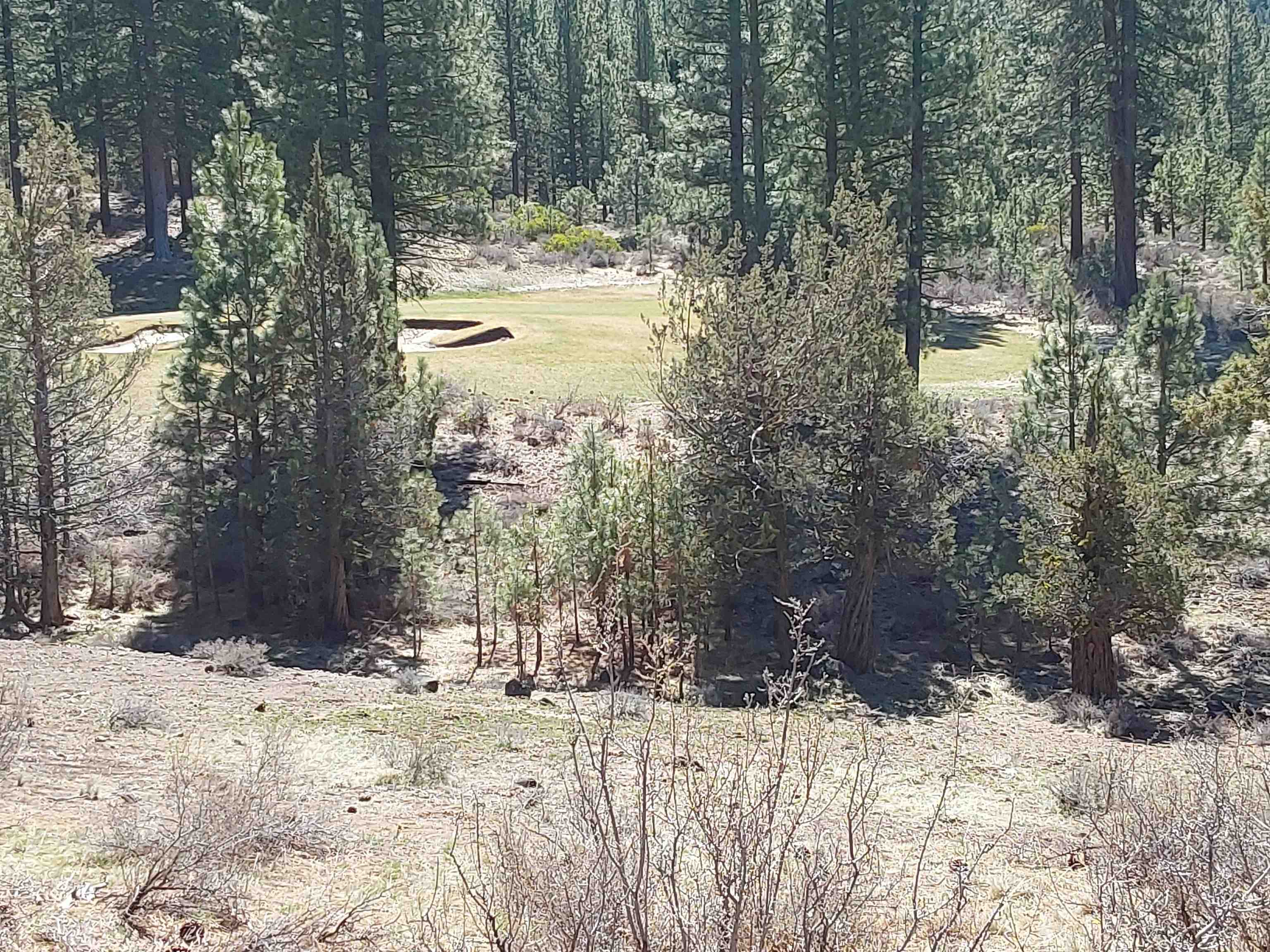 522 Sun Burst Clio, CA 96106 - Photo 2 of 4 a view of a yard covered in snow