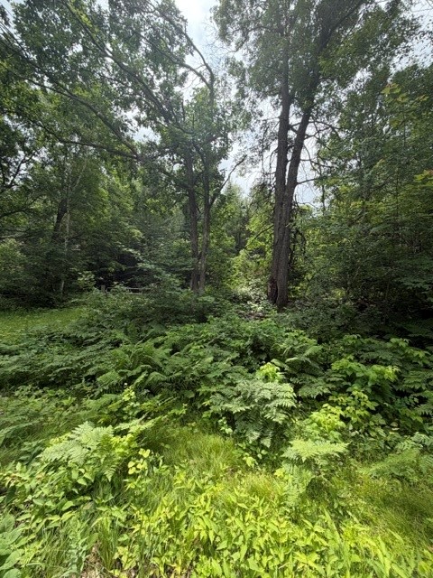 20-acres North 5th Avenue Spooner, WI 54801 - Photo 3 of 12
