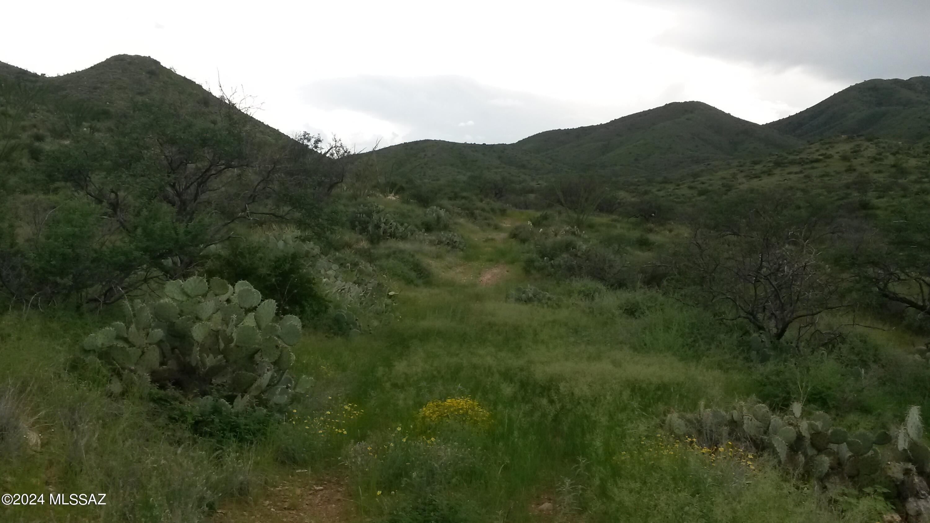 South Goodenough Trail Vail, AZ 85641 - Photo 9 of 13
