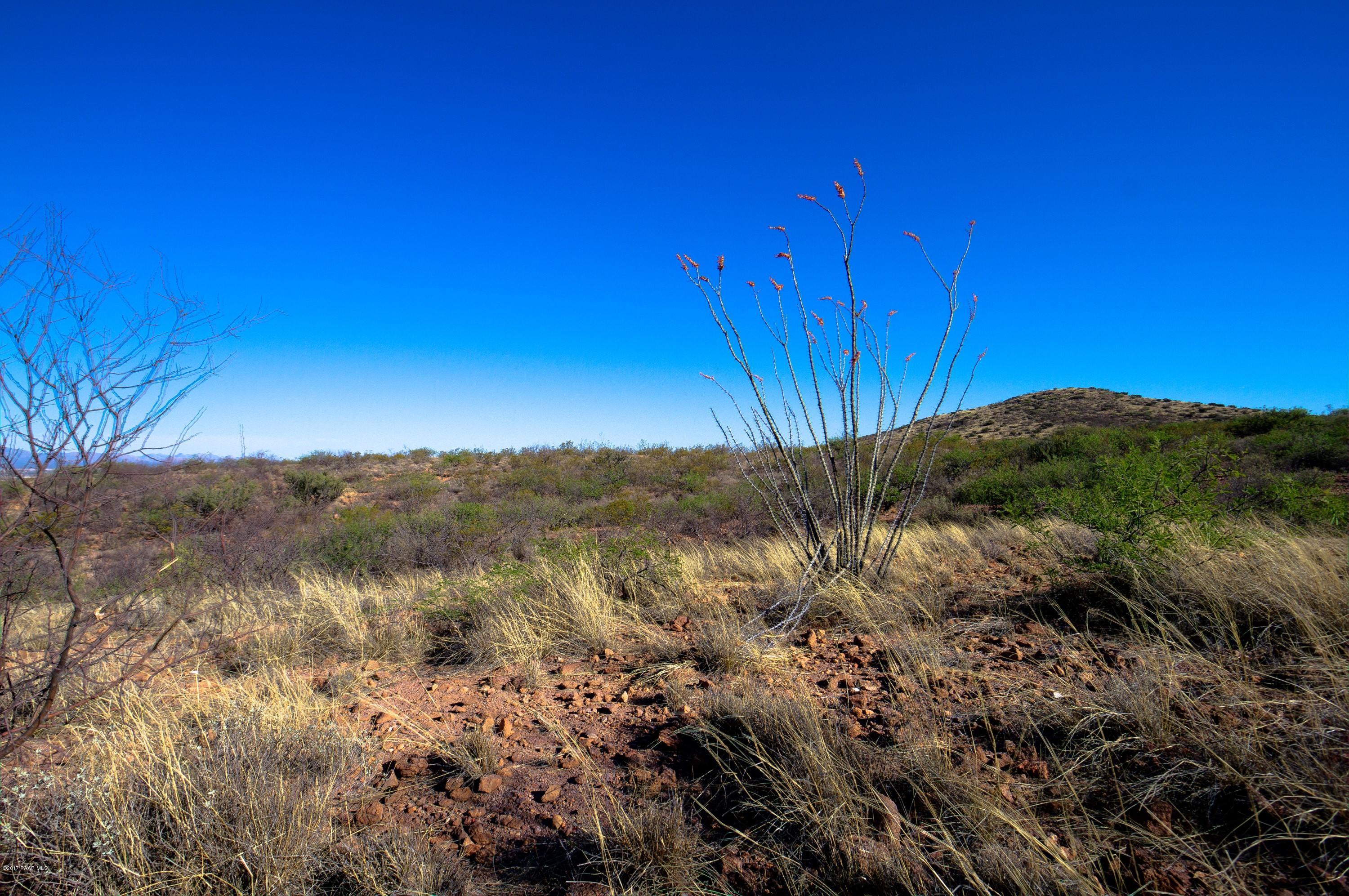 0 West Gleeson Road Elfrida, AZ 85610 - Photo 7 of 41 Sugarloaf Ranch Gleeson