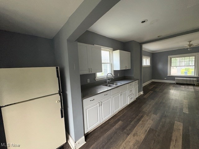 3258 Berkshire Road Cleveland, OH 44118 - Photo 11 of 23 Kitchen featuring freestanding refrigerator, ceiling fan, dark wood-type flooring, white cabinetry, and radiator