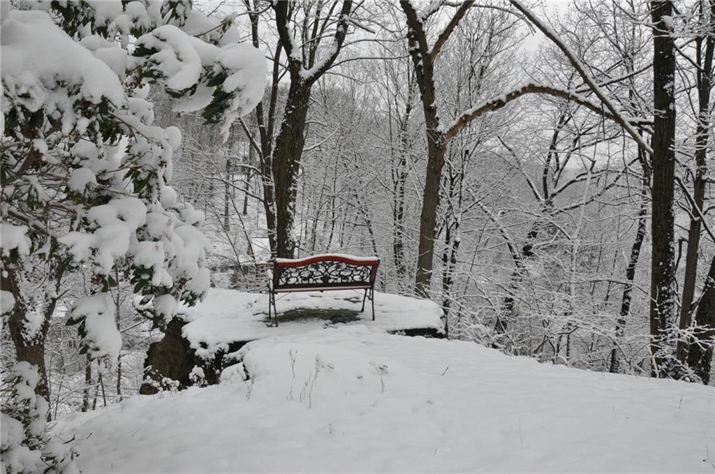 612 Waldheim Road Pittsburgh, PA 15215 - Photo 3 of 12 Back edge of the property is a peaceful spot to sit.