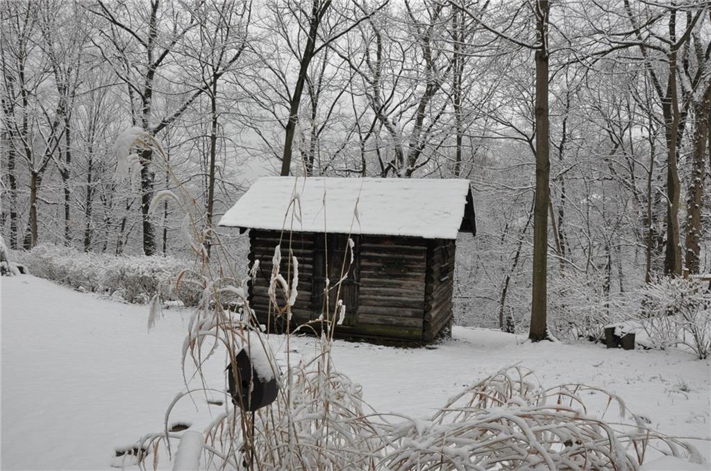 612 Waldheim Road Pittsburgh, PA 15215 - Photo 8 of 12 Shed sits off to the one end of the yard.
