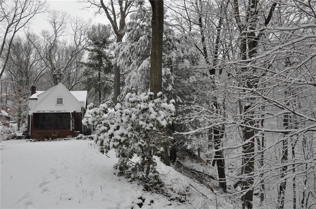 612 Waldheim Road Pittsburgh, PA 15215 - Photo 10 of 12 Off t the one side the yard slopes down into the woods.