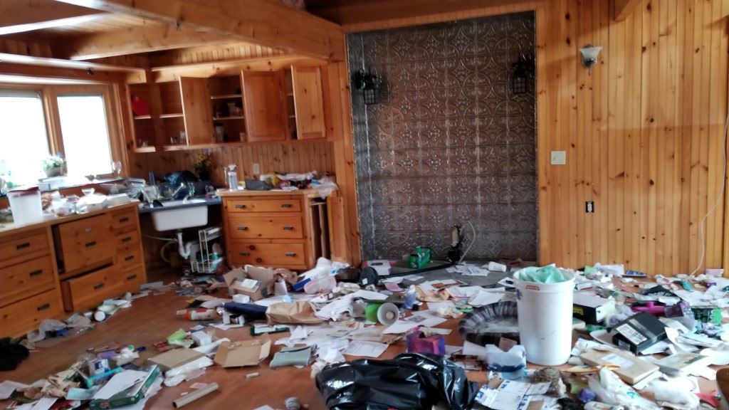 479 Welton Falls Road Alexandria, NH 03222 - Photo 3 of 10 Gallery Image 3