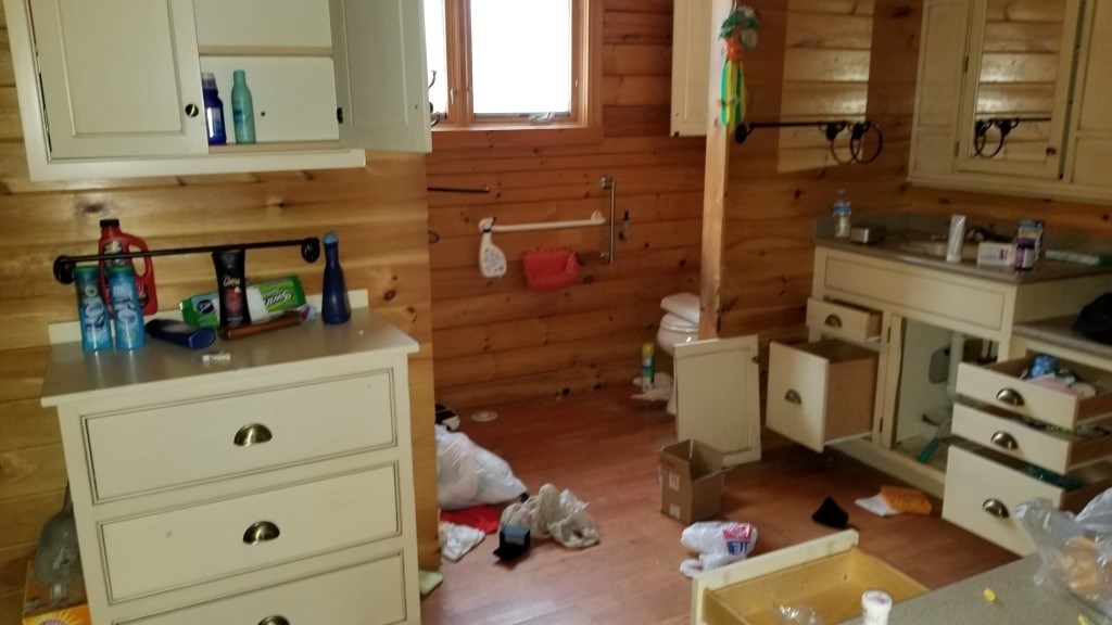 479 Welton Falls Road Alexandria, NH 03222 - Photo 6 of 10 Gallery Image 6