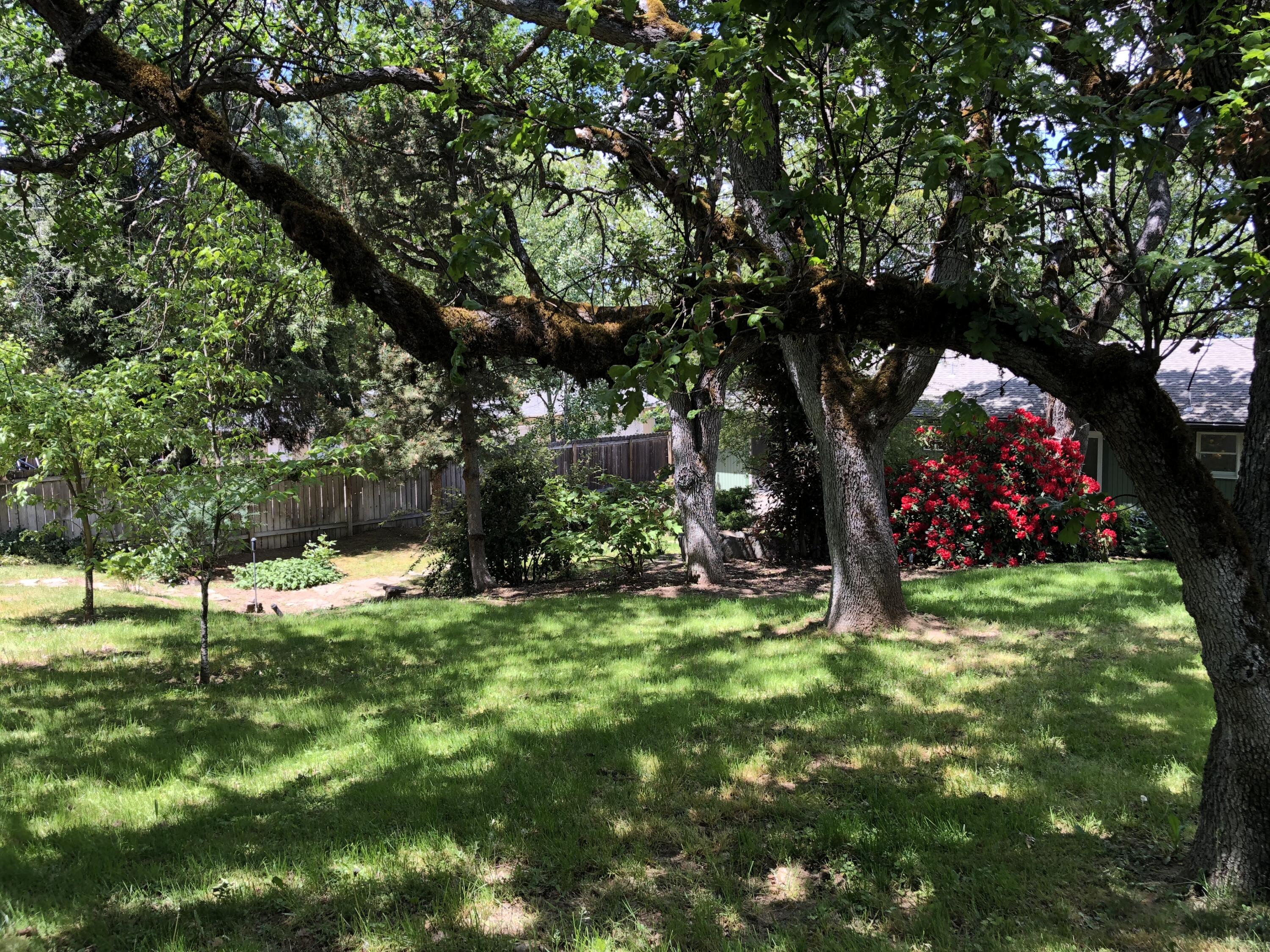 1600 Spring Street Medford, OR 97504 - Photo 40 of 55 Back yard