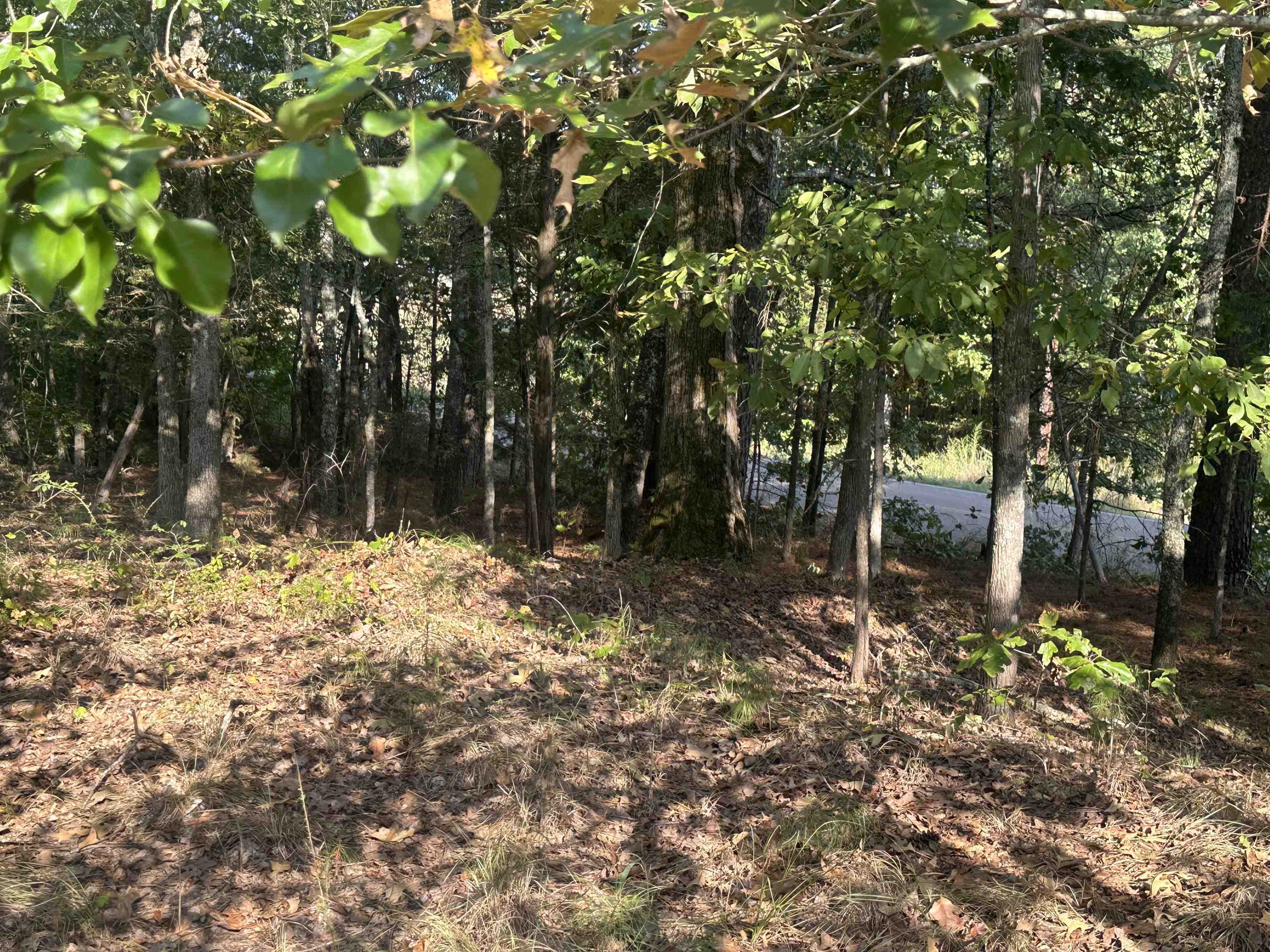 5865 Enville Road Henderson, TN 38340 - Photo 3 of 24 a backyard of a house with lots of green space