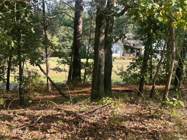 a backyard of a house with lots of green space