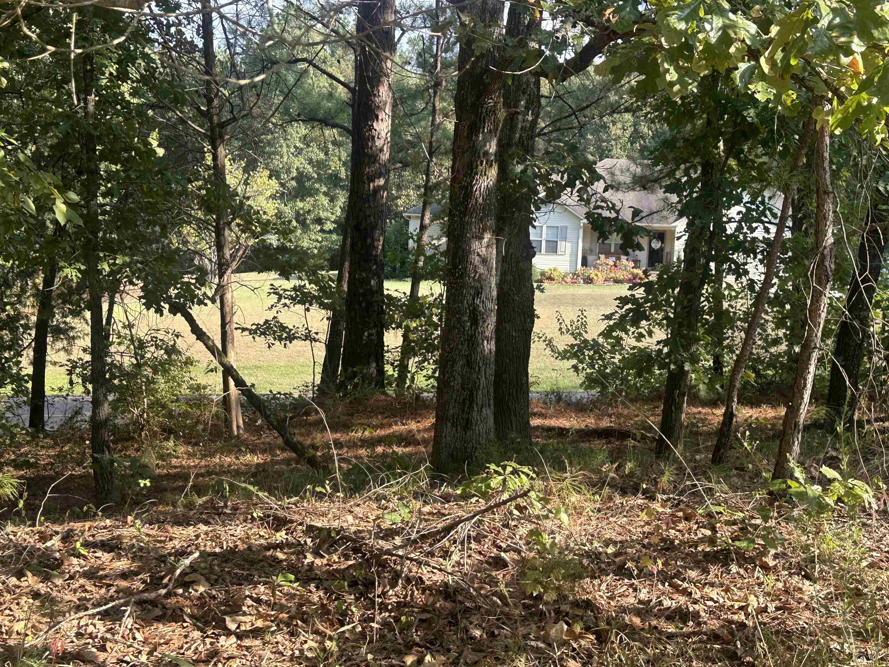 5865 Enville Road Henderson, TN 38340 - Photo 4 of 24 a backyard of a house with lots of green space