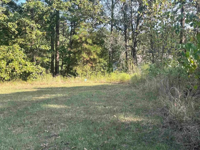 a view of a yard with large trees