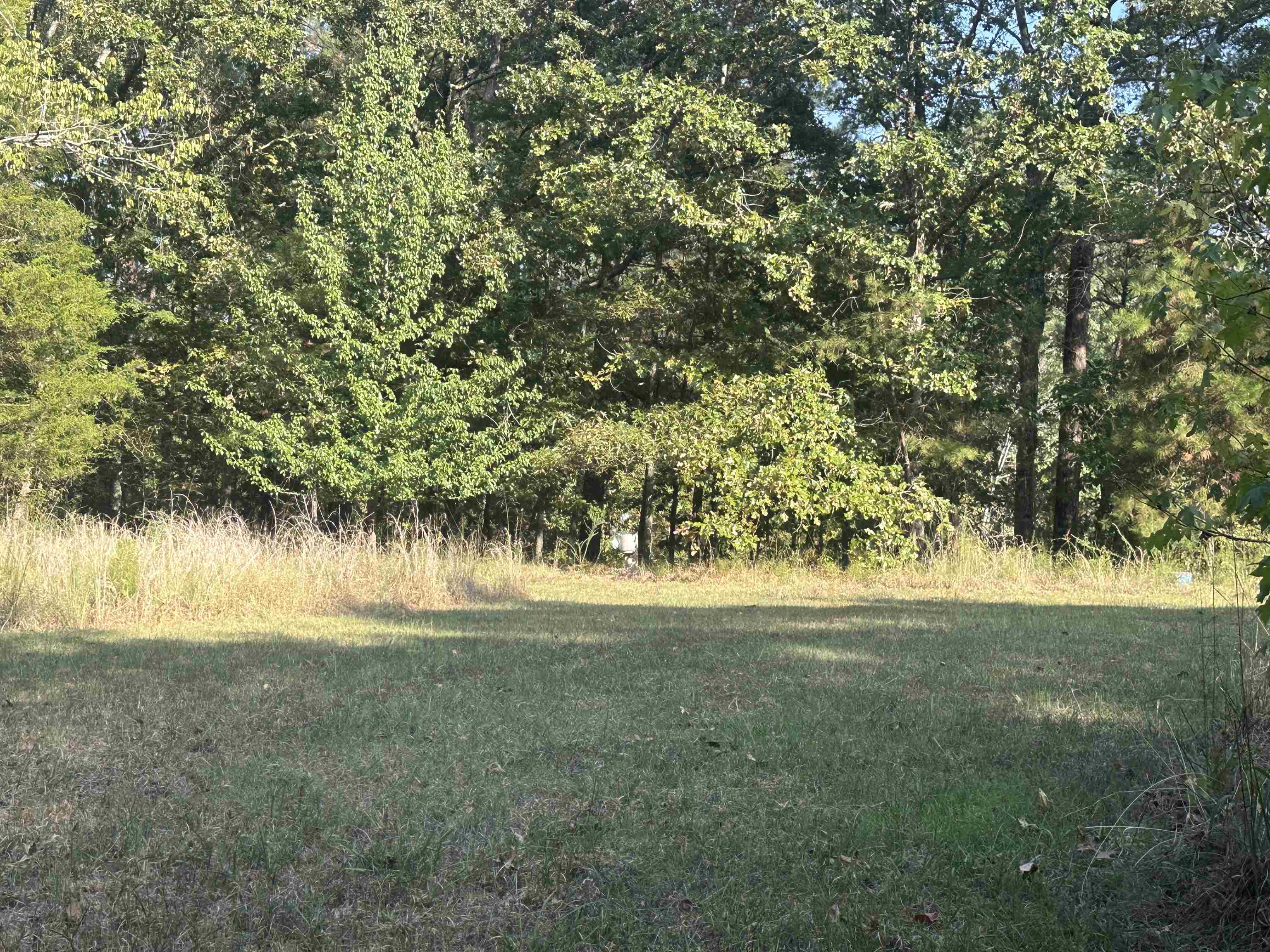 5865 Enville Road Henderson, TN 38340 - Photo 7 of 24 a view of yard with green space