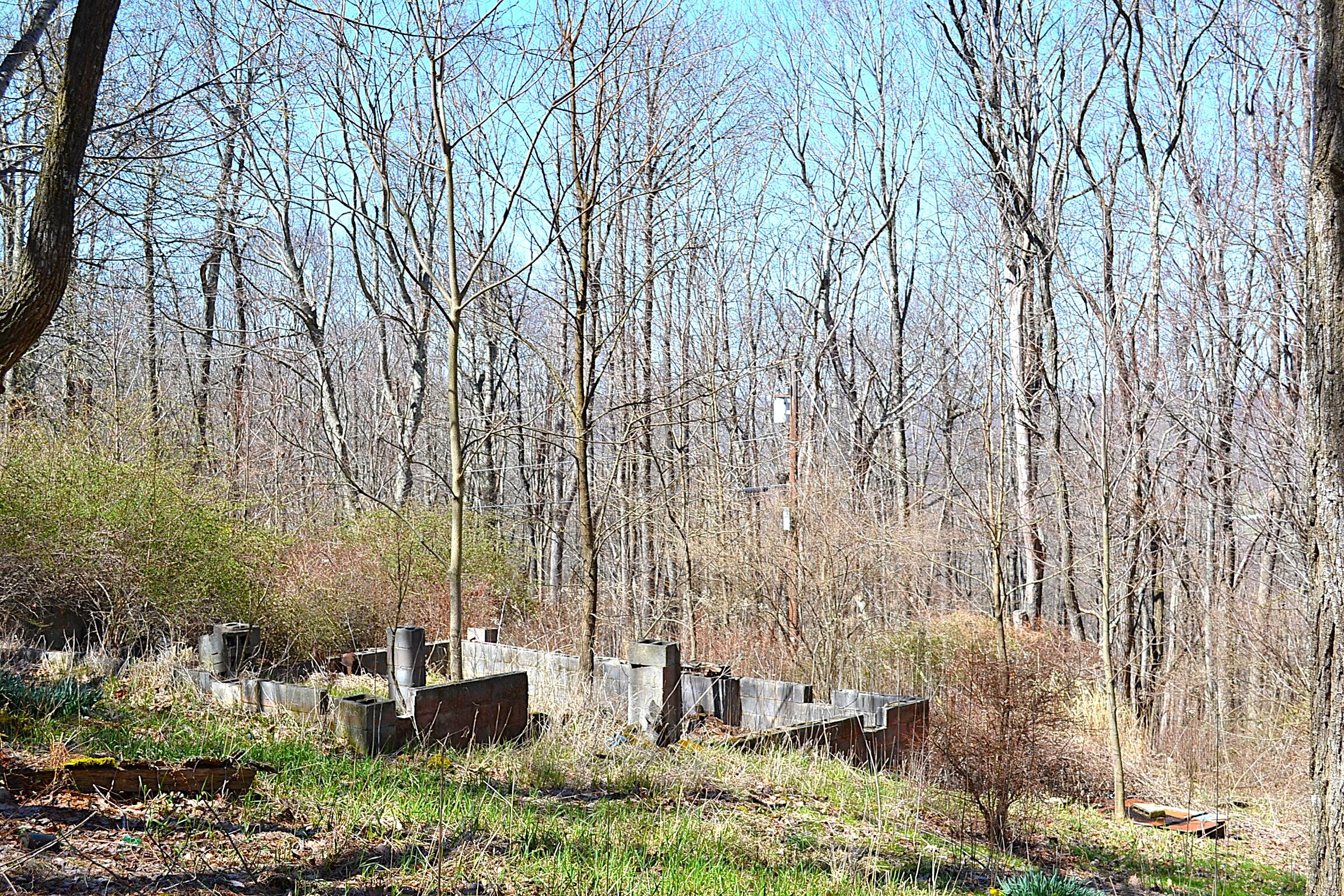 2245 Crowder Road Gap Mills, WV 24941 - Photo 3 of 41 Old Cabin Foundation