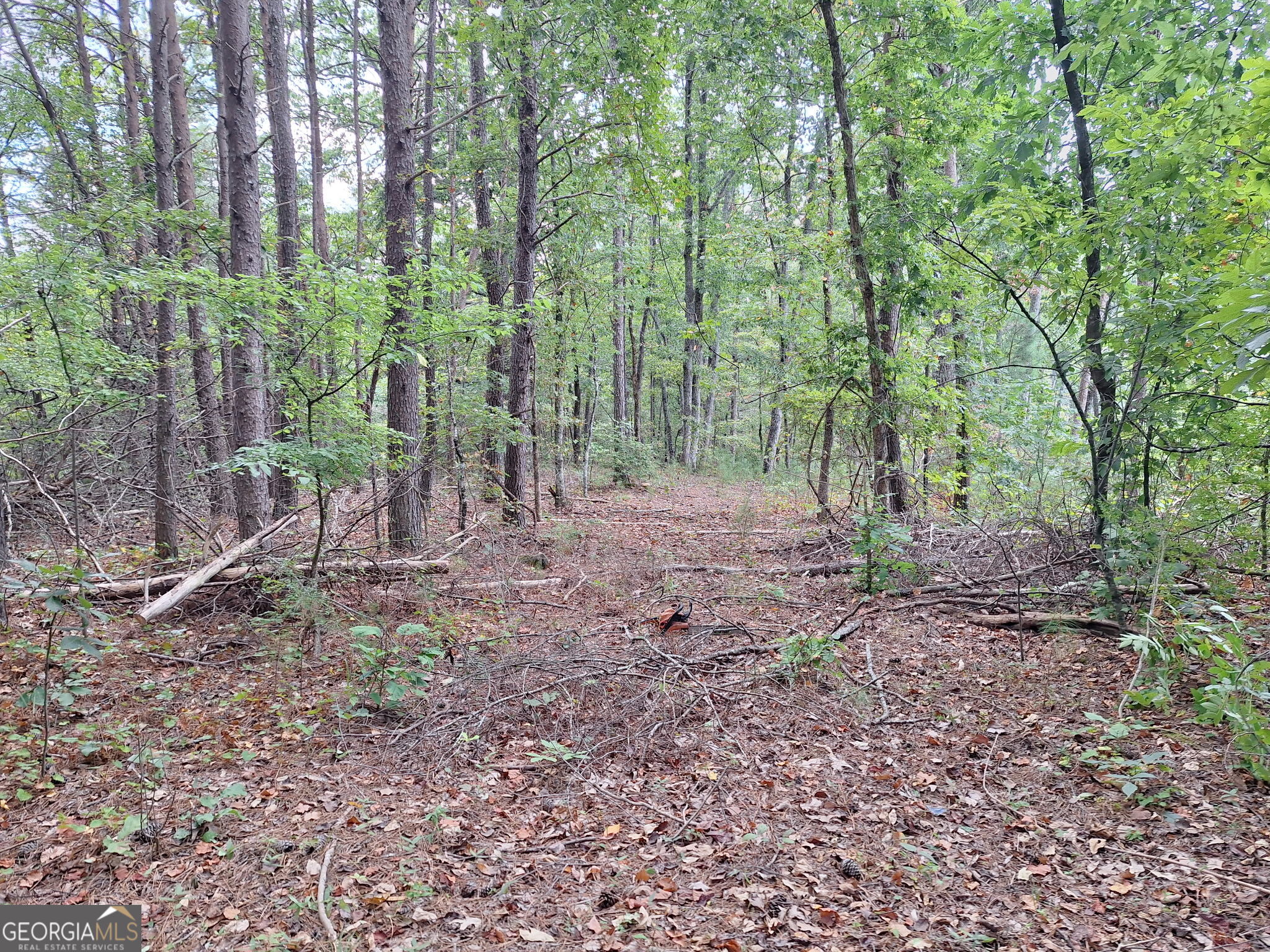 0 Highland Tree Court Ranger, GA 30734 - Photo 1 of 16 Gallery Image 1