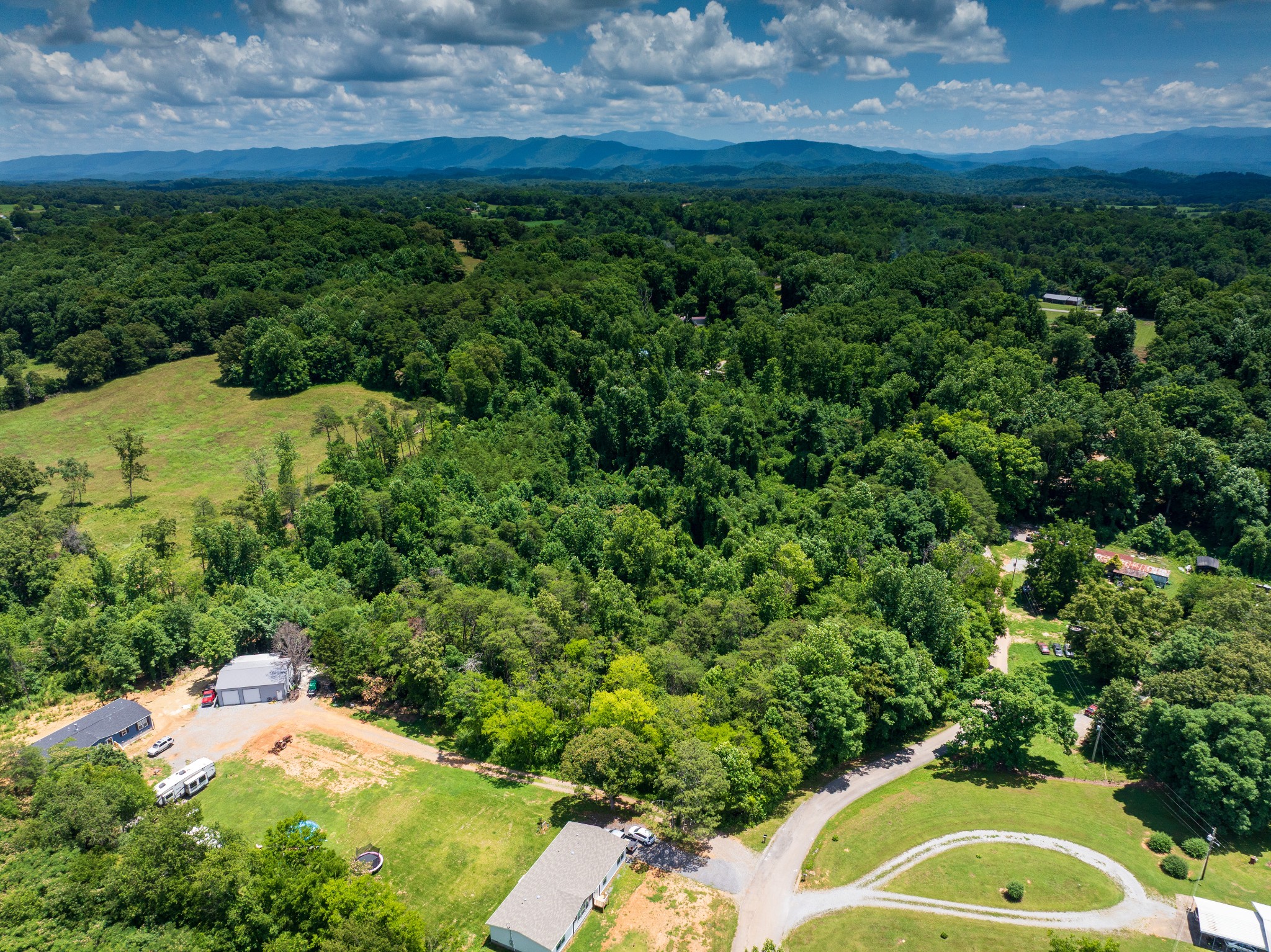 1175 McGhee Road Greenback, TN 37742 - Photo 29 of 31