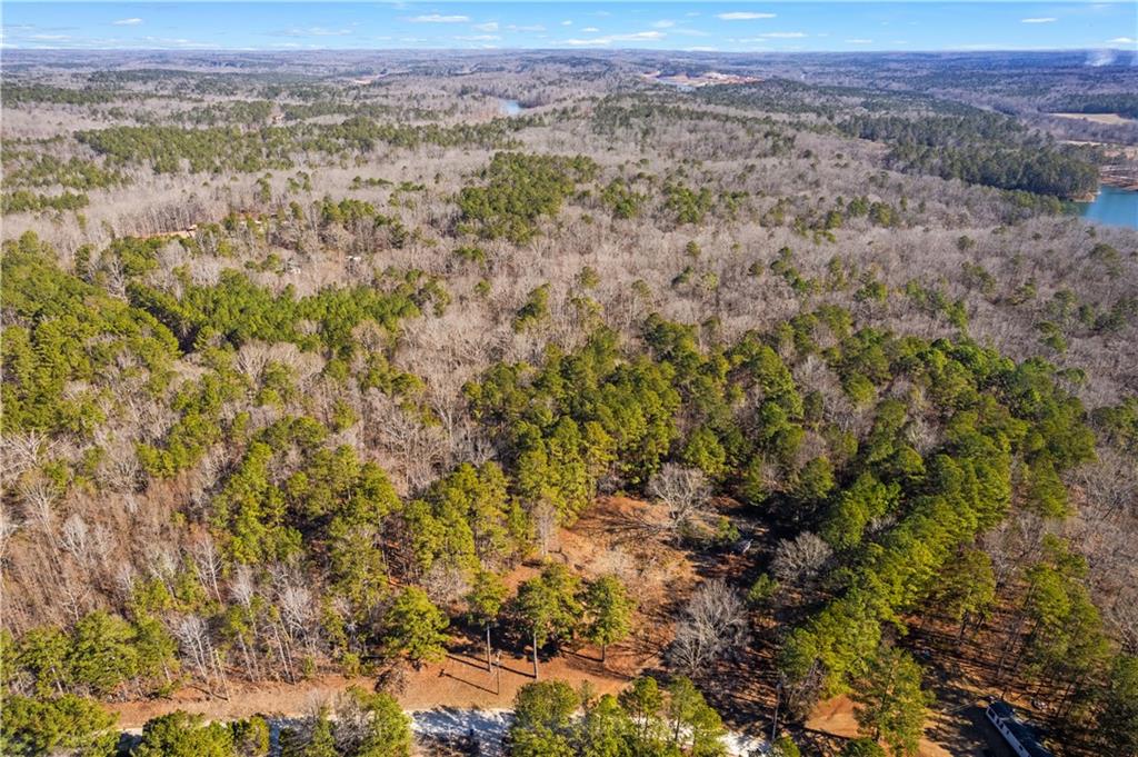 7790 Basket Creek Road Douglasville, GA 30135 - Photo 5 of 9 a view of a city with lush green forest