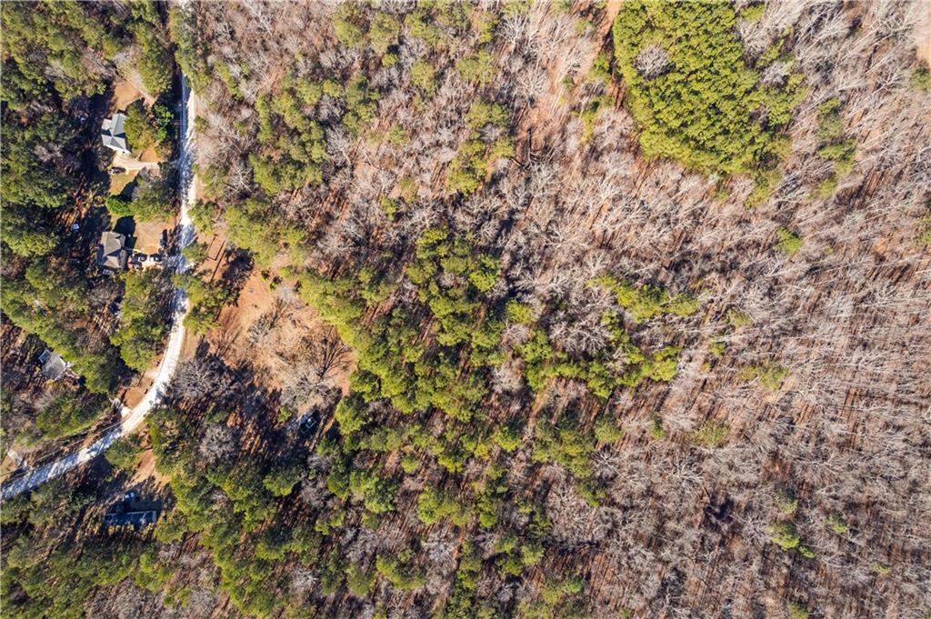7790 Basket Creek Road Douglasville, GA 30135 - Photo 7 of 9 a view of a tree
