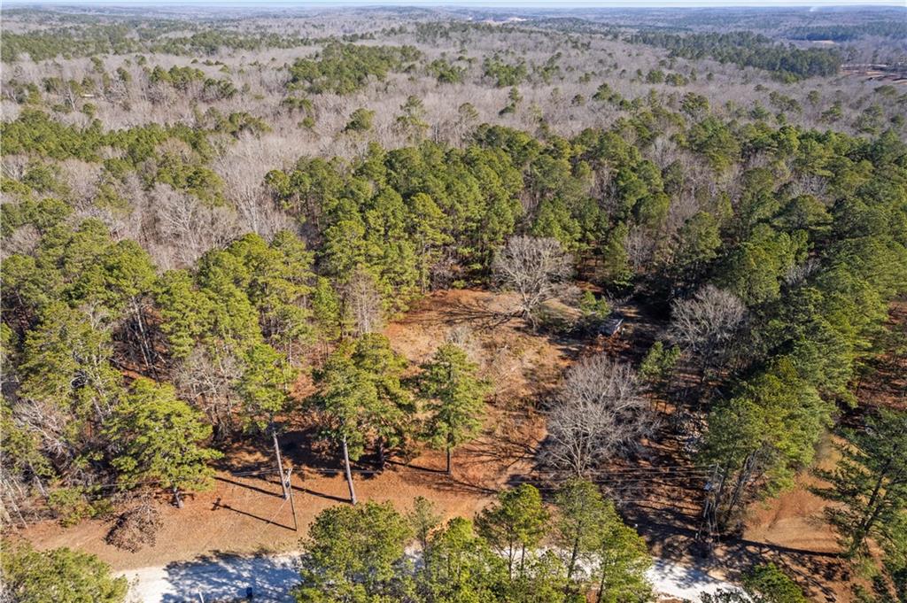 7790 Basket Creek Road Douglasville, GA 30135 - Photo 9 of 9 a view of a yard with wooden fence