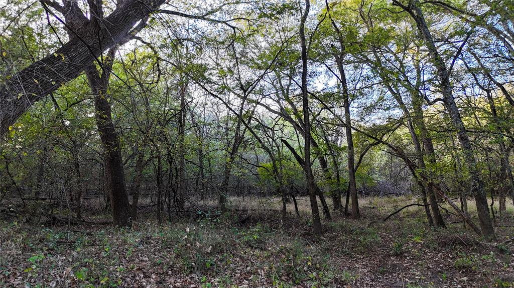 Tbd Old Stoney Road Ponder, TX 76259 - Photo 18 of 28 a view of a forest