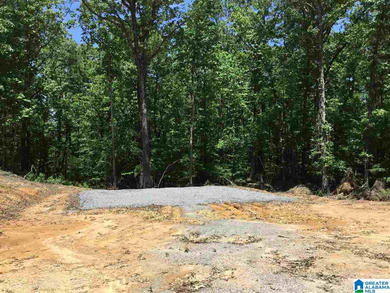 7237 Joinertown Road, Unit 7 09 ACRES Columbiana, AL 35051 - Photo 6 of 17