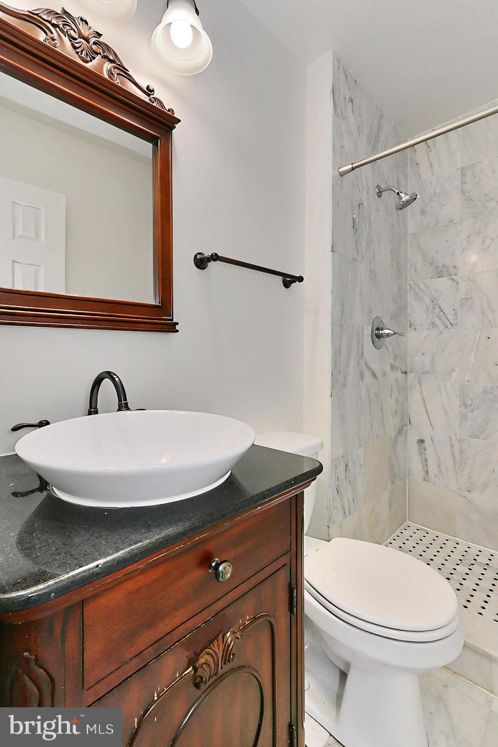 9849 Lakepointe Drive Burke, VA 22015 - Photo 14 of 27 Primary Full Bath