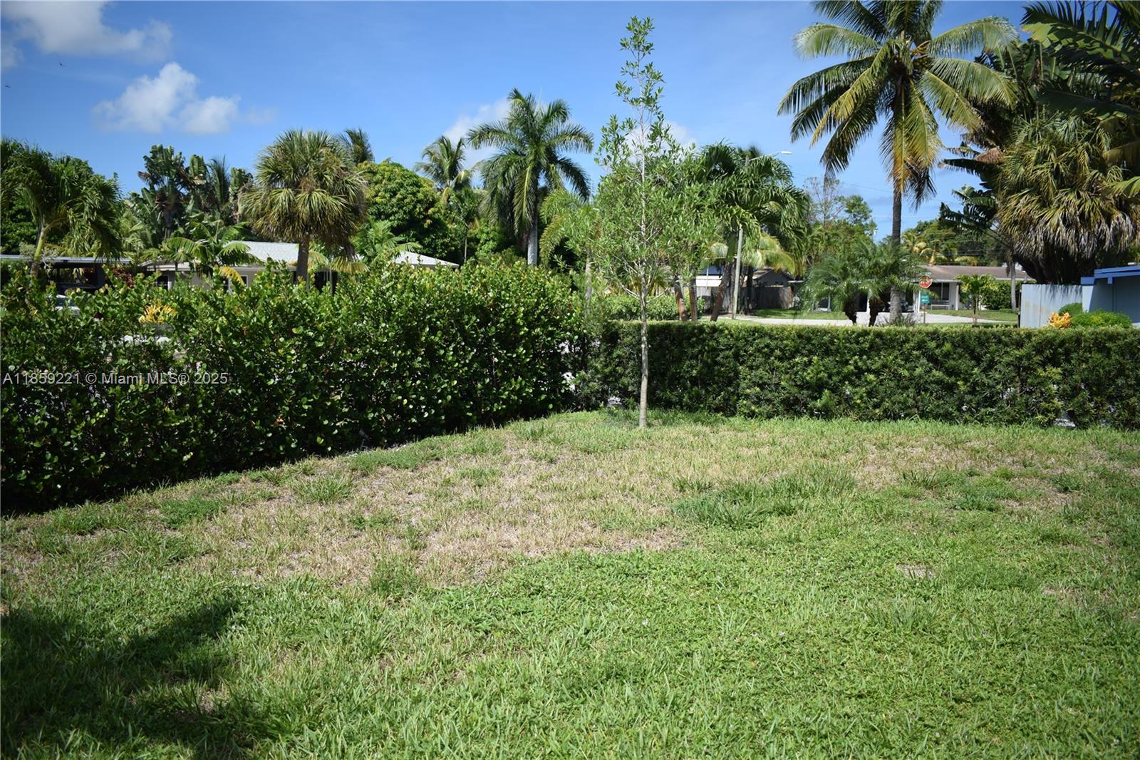 524 Northeast 27th Drive Wilton Manors, FL 33334 - Photo 56 of 95 Secluded front garden with mature shrubs, ideal for adding a spacious pool and outdoor retreat