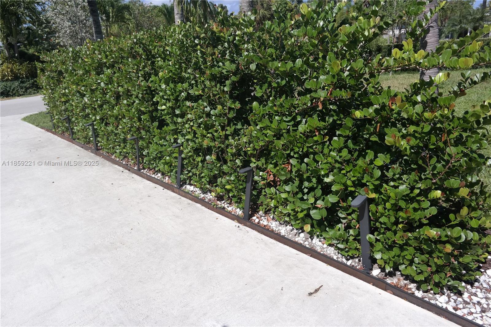 524 Northeast 27th Drive Wilton Manors, FL 33334 - Photo 86 of 95 Landscape lighting highlights the hedge-lined path, blending beauty and function for a welcoming arrival day or night