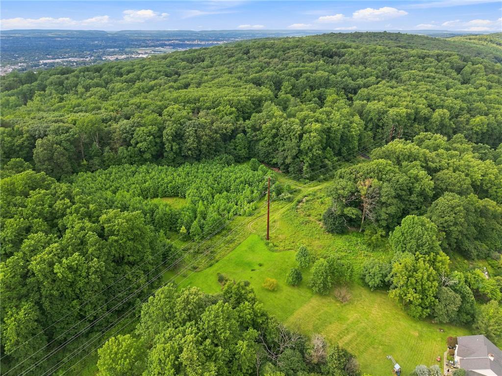 3408 Oak Hill Road Emmaus, PA 18049 - Photo 71 of 93 Mature woodlands and open clearings define this expansive hillside landscape overlooking the valley.