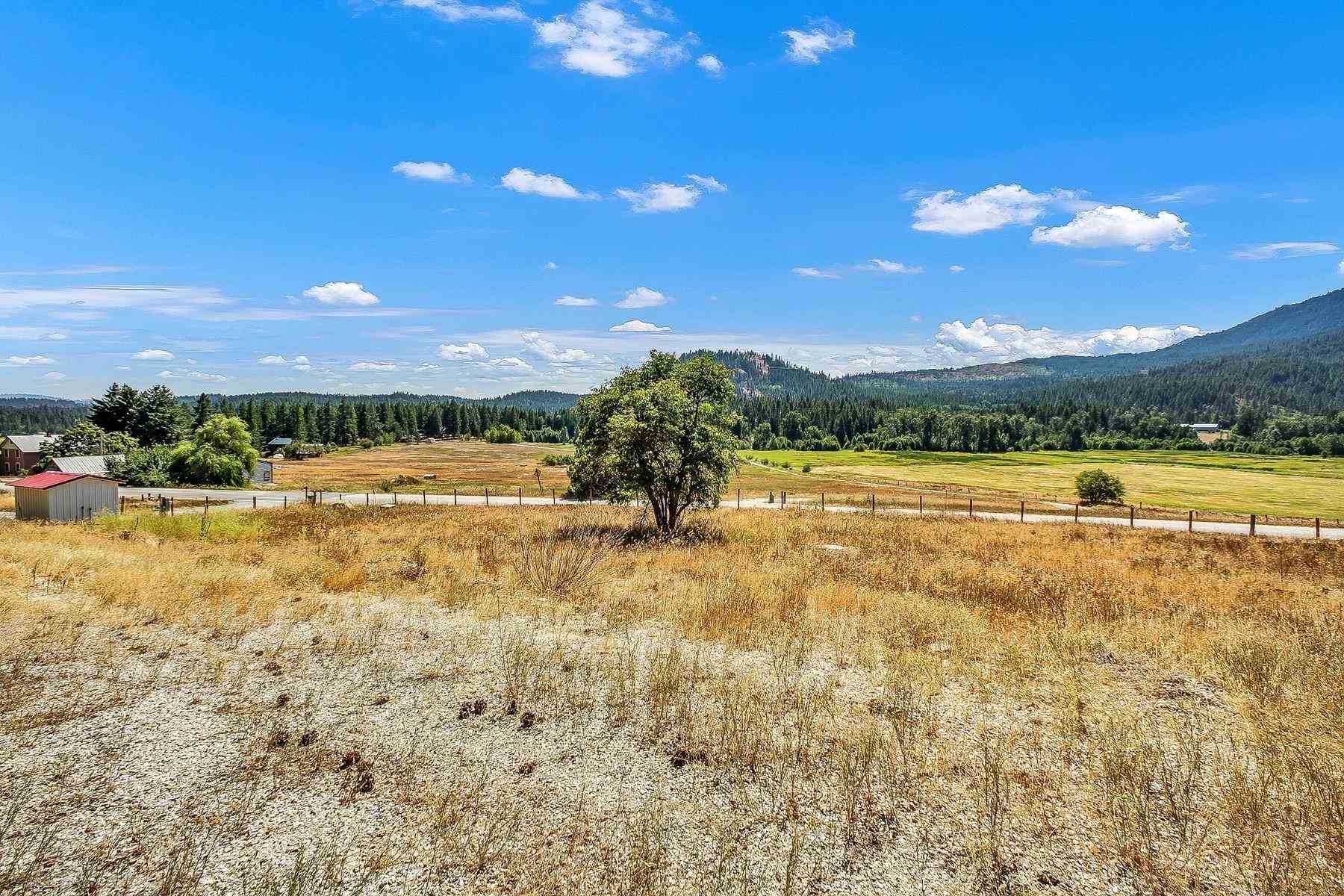 3474 A Waitts Lake Road Valley, WA 99181 - Photo 8 of 10 Gallery Image 8