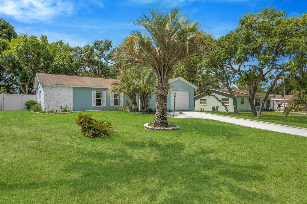 8218 Placid Street Spring Hill, FL 34606 - Photo 6 of 68