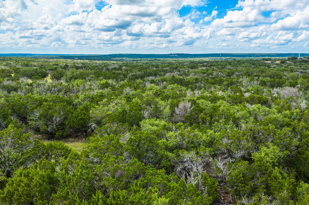 0 Jackson Ranch Rocksprings, TX 78880 - Photo 11 of 27