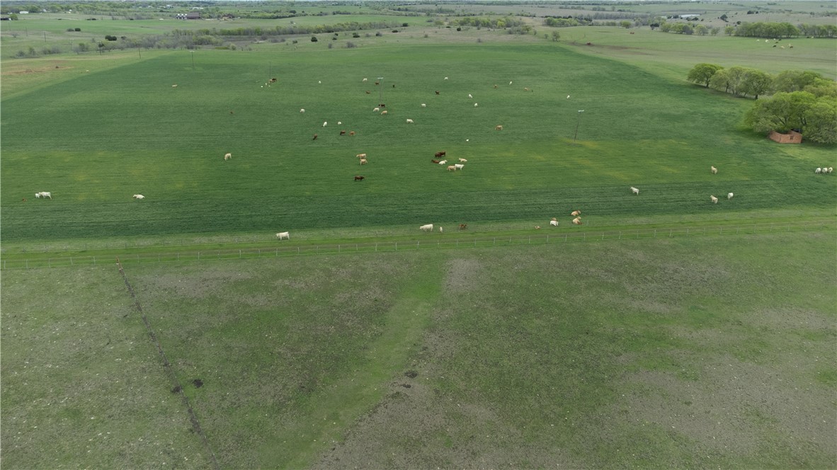 Tbd Old Perry Loop Moody, TX 76557 - Photo 13 of 28