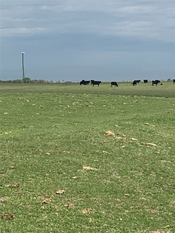 Tbd Old Perry Loop Moody, TX 76557 - Photo 3 of 28