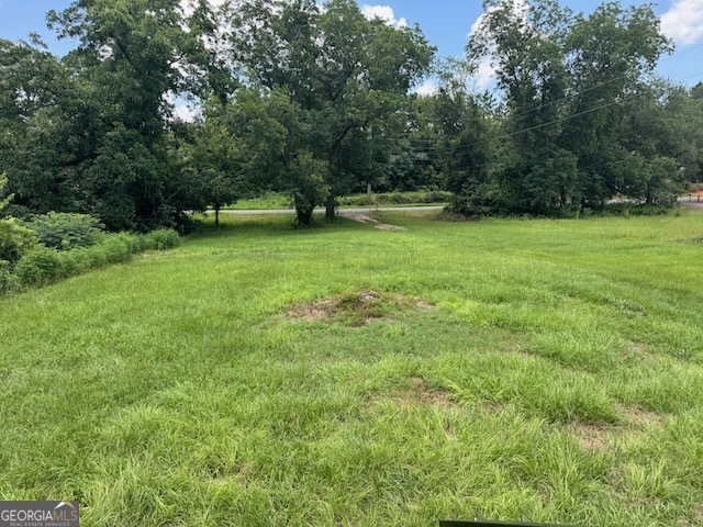 2428 Gibson Road Albany, GA 31705 - Photo 28 of 32
