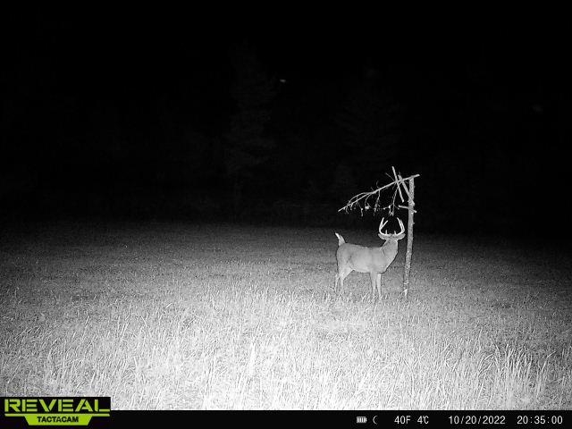 Lot 4 Grayling Tomah, WI 54660 - Photo 31 of 50