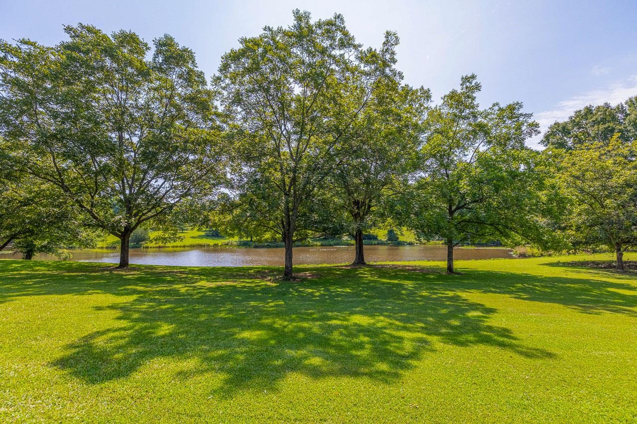 120 Rainey Mill Road Campobello, SC 29322 - Photo 3 of 20