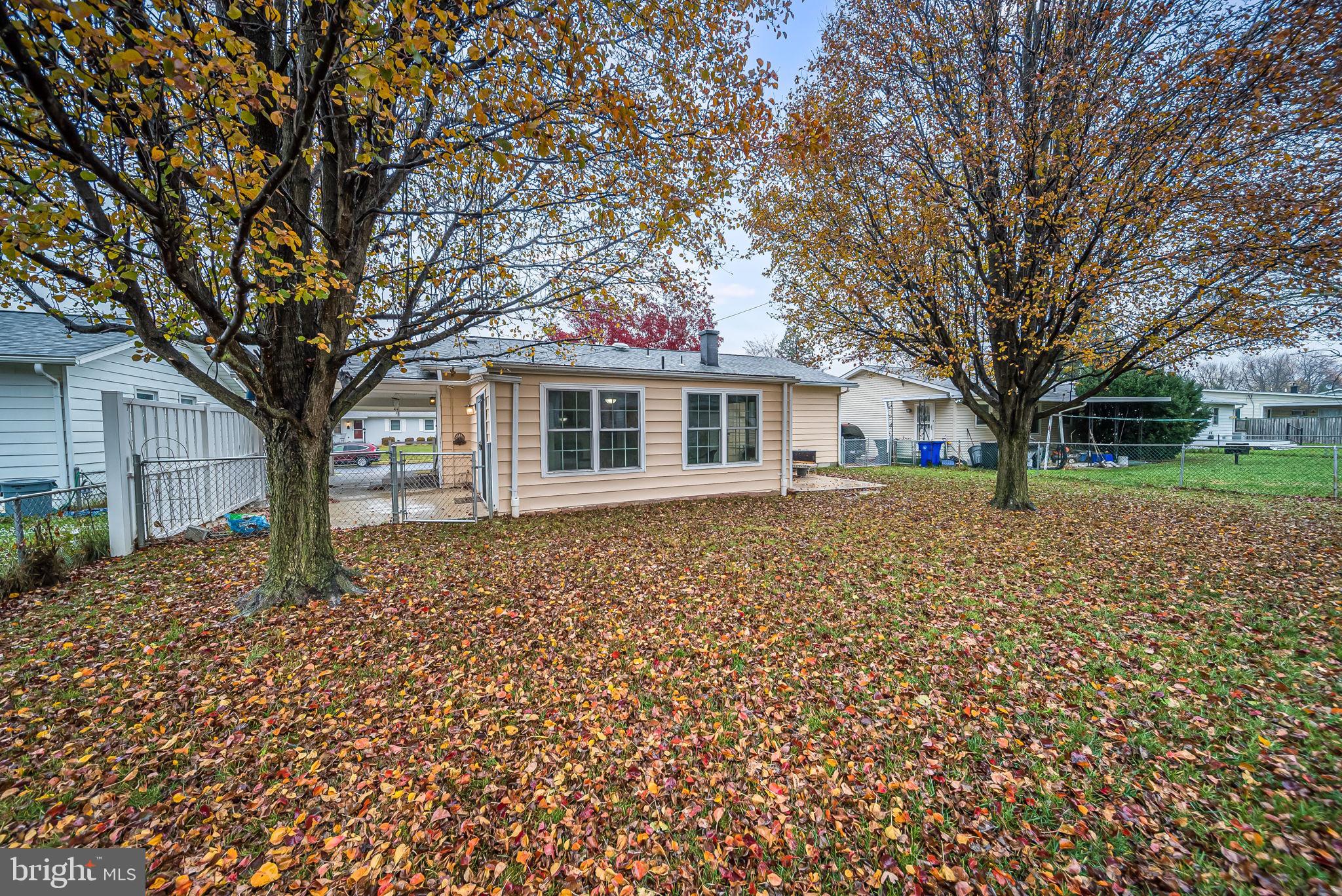 1116 Young Place Frederick, MD 21702 - Photo 26 of 31 Large Yard