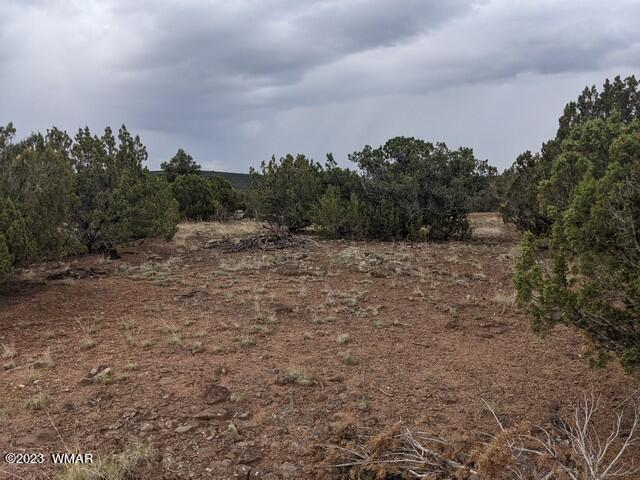 Tbd Tbd Concho, AZ 85924 - Photo 1 of 8