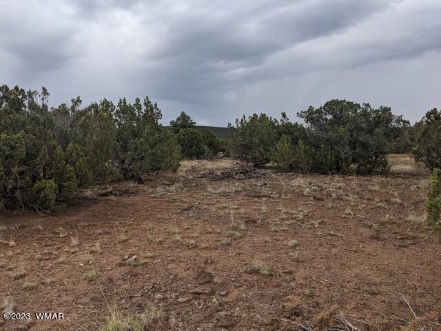 Tbd Tbd Concho, AZ 85924 - Photo 4 of 8