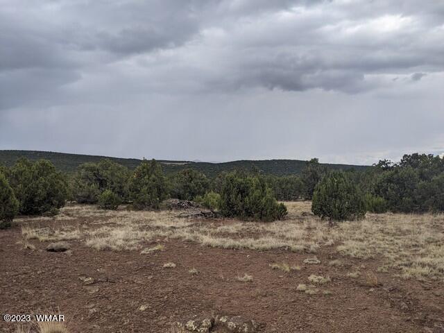Tbd Tbd Concho, AZ 85924 - Photo 5 of 8