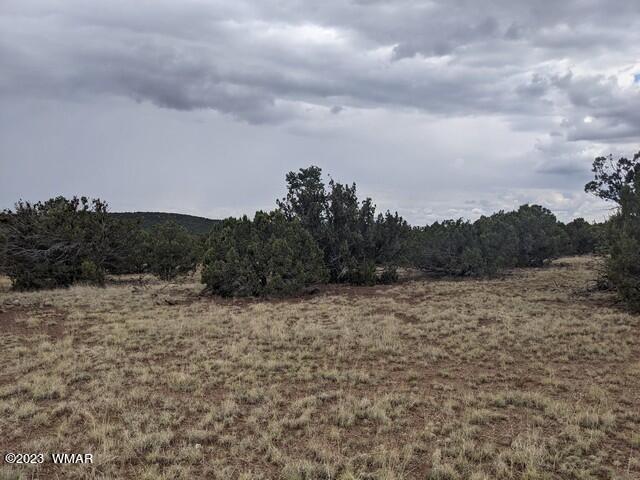 Tbd Tbd Concho, AZ 85924 - Photo 6 of 8
