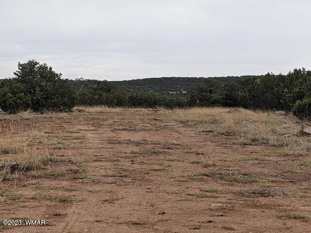 Tbd Tbd Concho, AZ 85924 - Photo 7 of 8