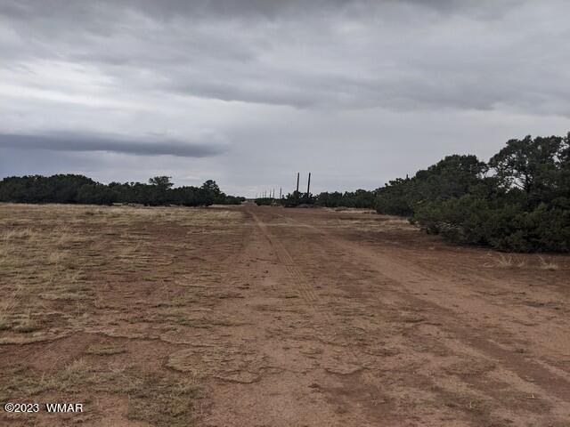Tbd Tbd Concho, AZ 85924 - Photo 8 of 8