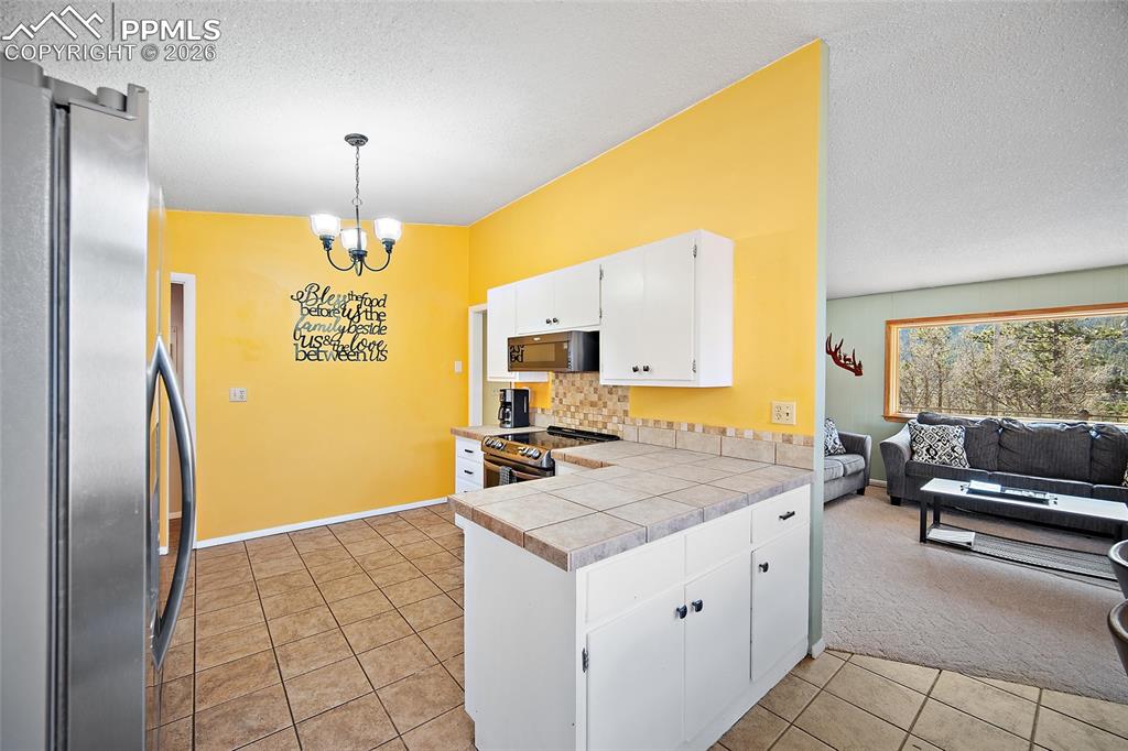 7760 Marriott Road Cascade, CO 80809 - Photo 15 of 50
