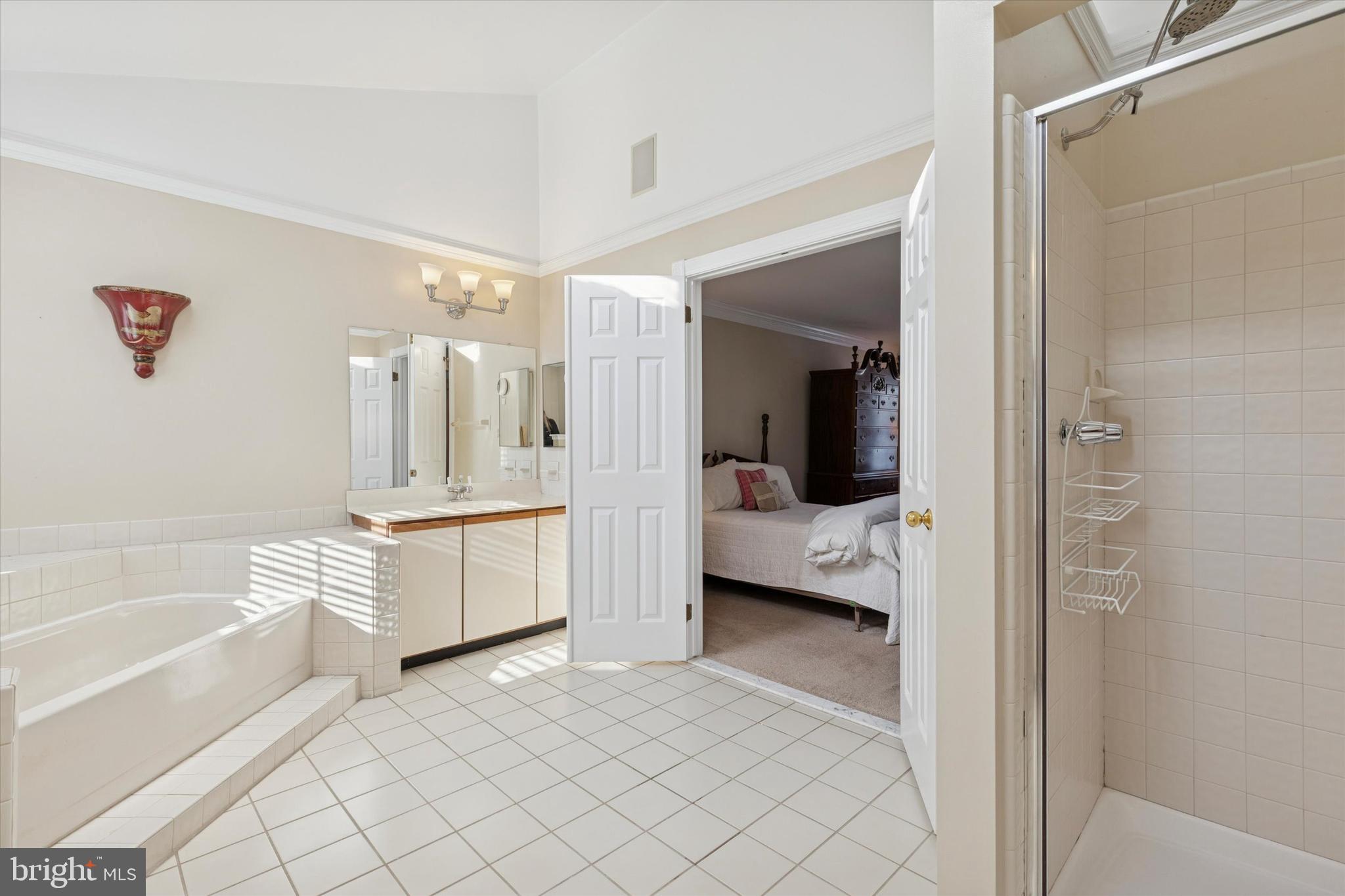 48 Cadwalader Court Ambler, PA 19002 - Photo 15 of 28 Large Primary Bath